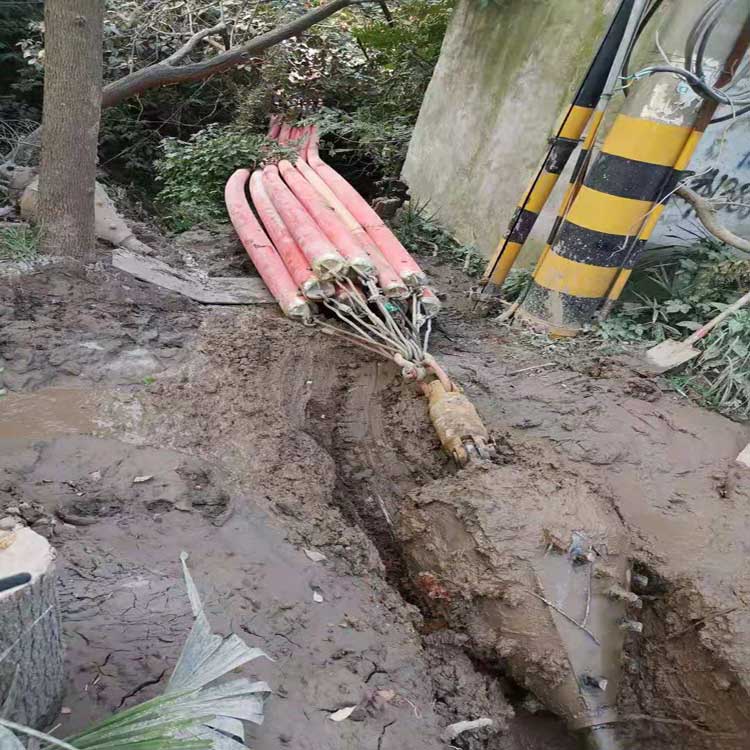 带岭拖拉管